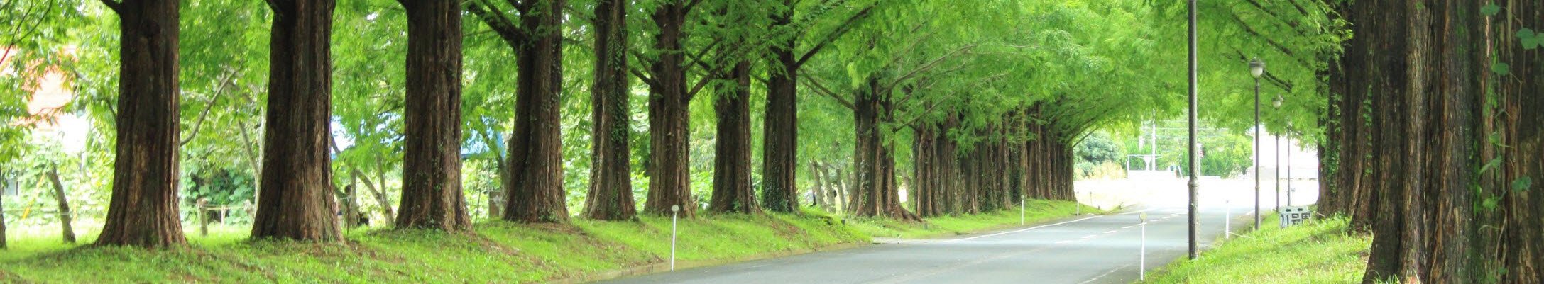 会社設立・法人成り